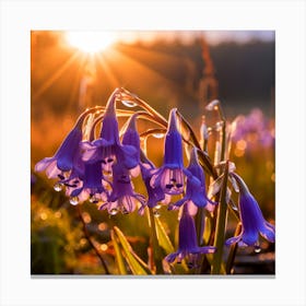 Bluebells At Sunrise Canvas Print