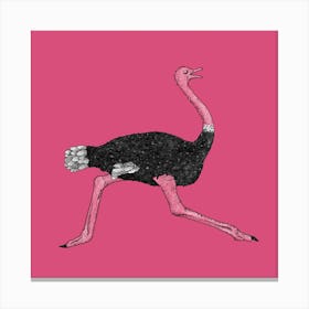 Running Ostrich Square Canvas Print