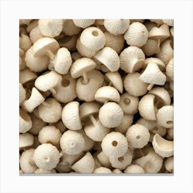 White Mushrooms Canvas Print