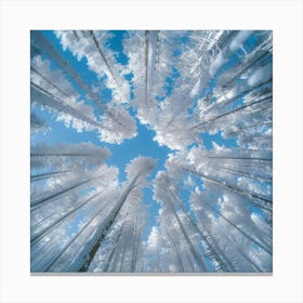 Looking Up In The Snow Canvas Print