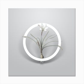 Vintage Rain Lily Minimalist Botanical Geometric Circle on Soft Gray n.0442 Canvas Print
