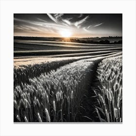 Sunset In A Wheat Field 7 Canvas Print