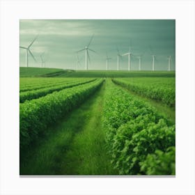 Windmills In The Field Canvas Print