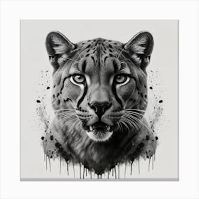 Lynx Canvas Print Canvas Print