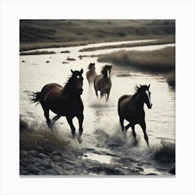 Horses Running In A River Canvas Print