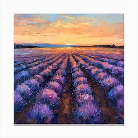 Lavender Field At Sunset Canvas Print