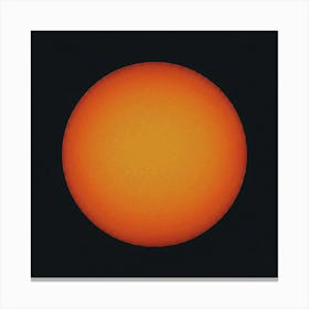 Sun's Moon Canvas Print