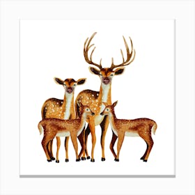 Family Of Deer Canvas Print