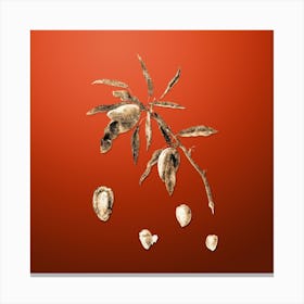 Gold Botanical Almond on Tomato Red n.4438 Canvas Print