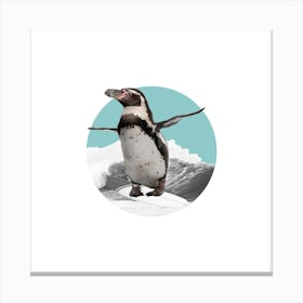 Humboldt Penguin Collage Square Canvas Print