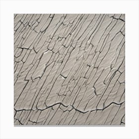 Cracked Concrete Texture Canvas Print
