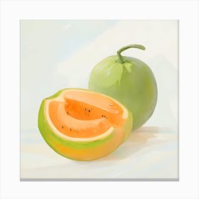 Cantaloupe Canvas Print