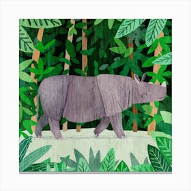 Sumatran Rhino Square Canvas Print