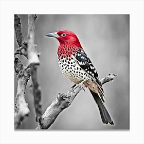 Red-Winged Blackbird Canvas Print