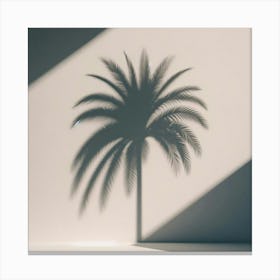 Shadow Of Palm Tree 2 Canvas Print
