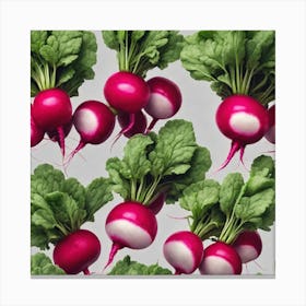 Radishes On White Background Canvas Print