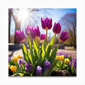 Bouquet Of Vibrant Purple Tulips Rising Toward A Majestic Sun In A Lush Spring Park Three Graceful (2) Canvas Print