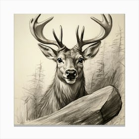 Deer With Antlers 7 Canvas Print