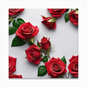 Red Roses On White Background 2 Canvas Print