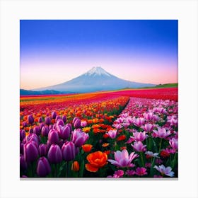 Tulips In A Field 1 Canvas Print