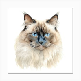 Birman Cat Portrait 2 Canvas Print