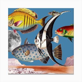 Fish World Blue Square Canvas Print