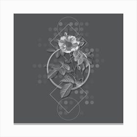 Vintage Red Portland Rose Botanical with Line Motif and Dot Pattern in Ghost Gray n.0072 Canvas Print