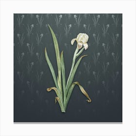 Vintage Crimean Iris Botanical on Slate Gray Pattern n.1245 Canvas Print