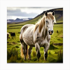 White Horse In Iceland 2 Canvas Print