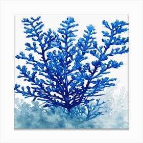 Blue Coral 1 Canvas Print
