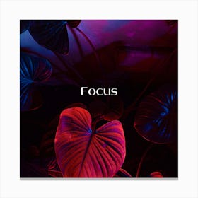 Focus Canvas Print