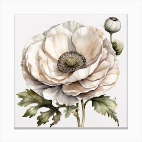 Large white poppy flower 7 Canvas Print