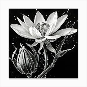 Lotus Flower 25 Canvas Print