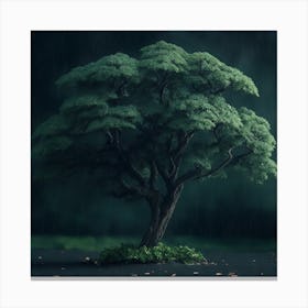 Tree In The Rain Canvas Print