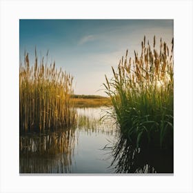 Reeds In The Water 1 Canvas Print