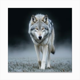 Silver Shadow Canvas Print