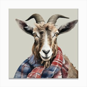 Watercolour Highland Goat Douglas Canvas Print