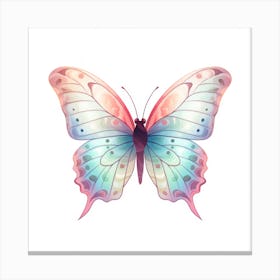 Butterfly Canvas Print