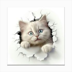 Ragdoll Peeking Through A Hole 3 Canvas Print