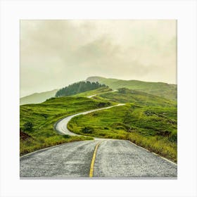 Road In The Mountains Canvas Print
