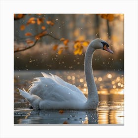 Swan In Autumn Canvas Print