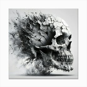Skull With Dust Canvas Print