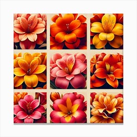 Image Of Different Clivia Flowers 2 Canvas Print