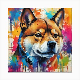 Shiba Inu 62 Canvas Print