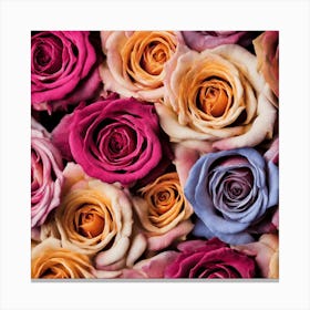 Roses Stock Videos & Royalty-Free Footage Canvas Print