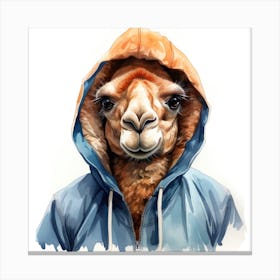 Watercolour Cartoon Camel In A Hoodie 1 Canvas Print