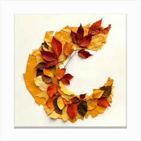 Autumn Leaves Canvas Print