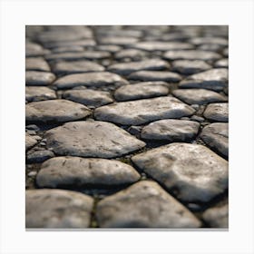 Cobblestone Road 9 Canvas Print