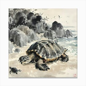 Tortoise Canvas Print