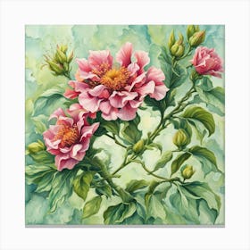 Pink Peonies Canvas Print